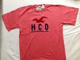 Camisa Hollister